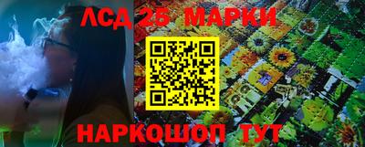 дмт Донской
