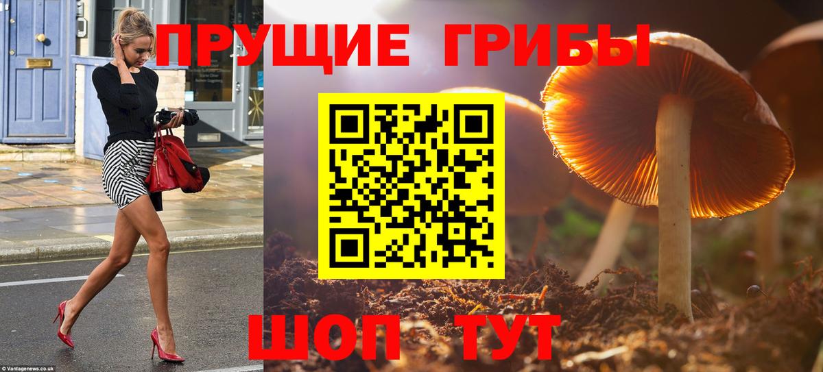 даркнет сайт  Вход с VPN  Нальчик  Галлюциногенные грибы Cubensis  Галлюциногенные грибы мухоморы 