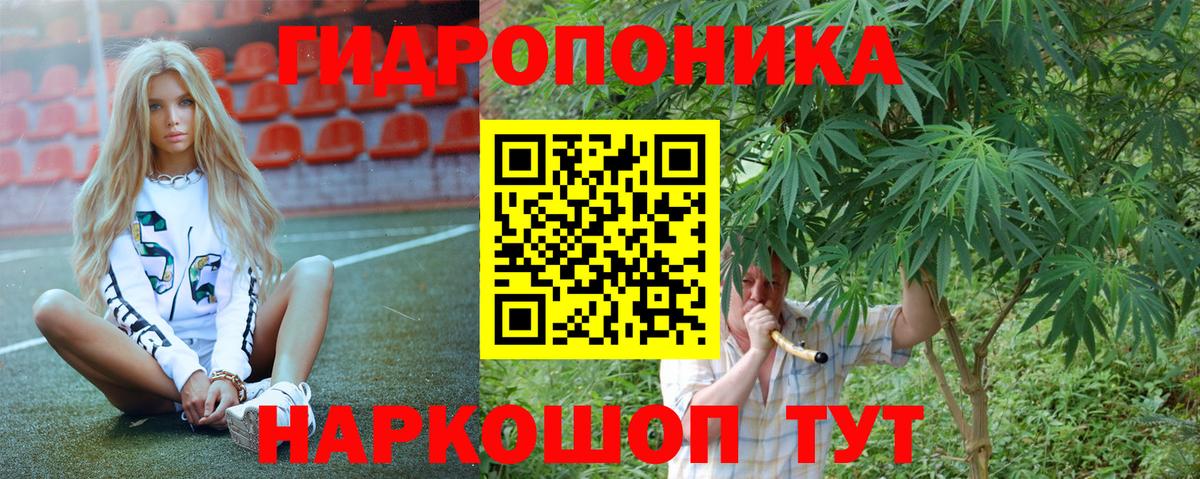 Канабис план Нальчик